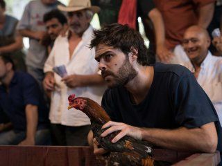 todo listo para la segunda temporada de un gallo para esculapio todo listo para la segunda temporada de un gallo para esculapio