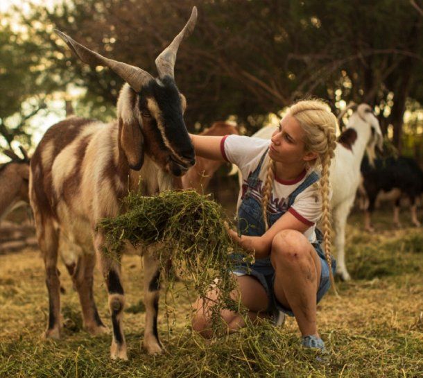 Ph: Fede Sordo-Santuario Equidad. <br>