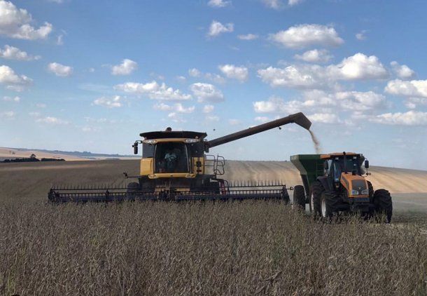 Plantación de soja en Brasil, otro de los países que sufre quemas de bosque para la plantación.