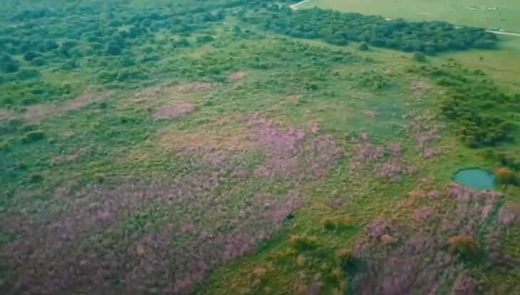 Rubén ya comenzó a pasar sus días en este santuario.