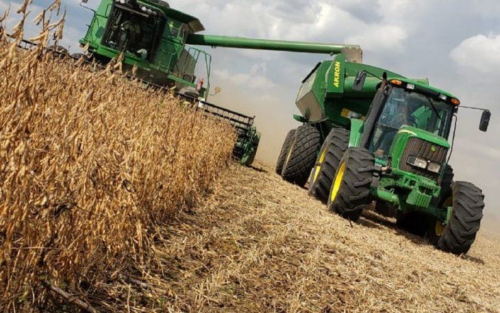 Producción de soja en Argentina. 