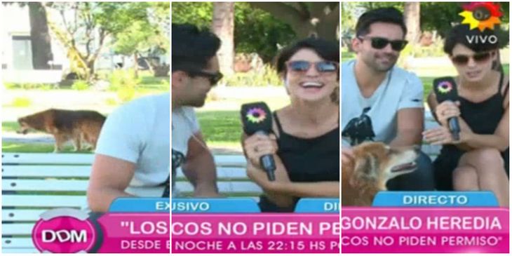 Agustina Cherri y Gonzalo Heredia, juntos en un móvil: perlita con un perro y chistes de doble sentido