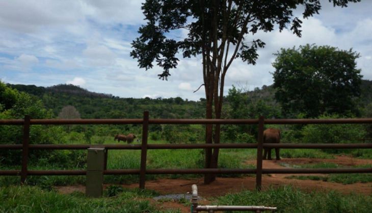 Fotografía del santuario de Brasil, en la selva del Estado Mato Grosso. Foto: BCA.