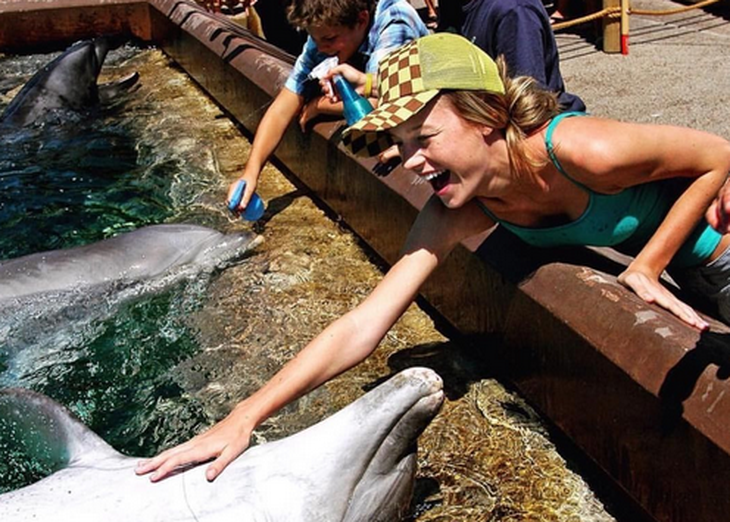 La foto de Brie Larson con un delfín que provocó indignación en Instagram: ¿qué dijo ella?