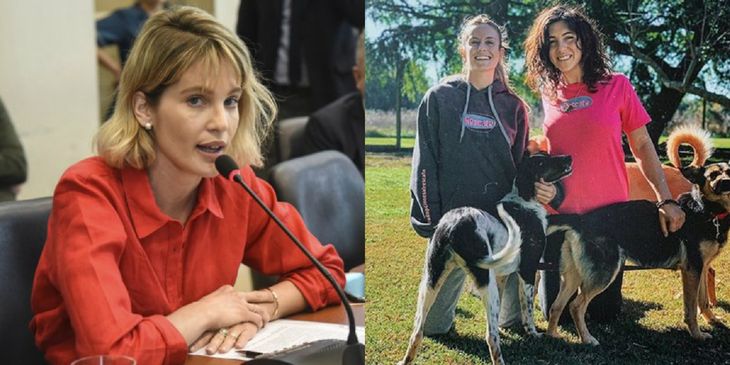 En el Día Nacional del Perro, los famosos que aman a los animales y son activistas