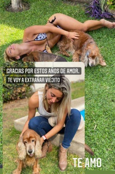 Despedida de Sol Pérez a su perro.